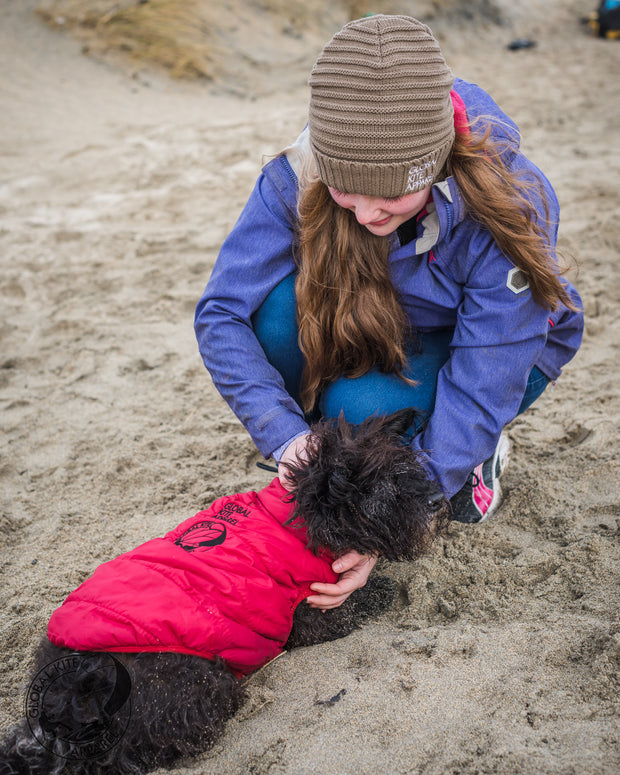 Global Kite Apparel DOG JACKET ...In Synergy with Your Lifestyle...