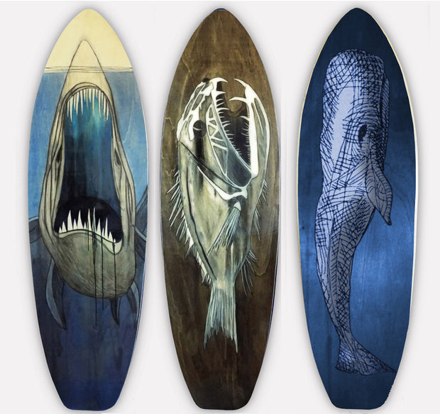 Global Kite Apparel Kitesurfing Inspired Kiteboard Wall Art & Furniture & Backlighting ...Your Lifestyle In Synergy...